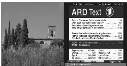 LOEWE Xelos A 32 HD 100 - Darstellungen der Teletext-Seiten - 2