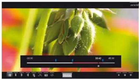 LOEWE Reference LD 55 - Intervall ausblenden - 2