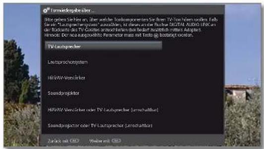 LOEWE Reference LD 55 - OK automatischen Suchlauf starten. - 9