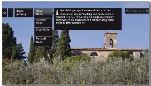 LOEWE Reference LD 55 - Bildanpassung aufrufen - 3
