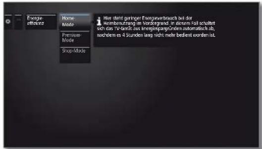 LOEWE Reference LD 55 - Energieeffizienz aufrufen - 3