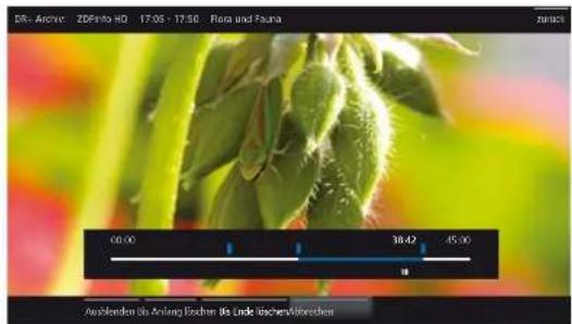 LOEWE Reference LD 46 - Teil der Aufnahme löschen - 2