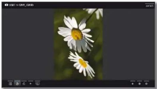 LOEWE Reference LD 46 - Foto drehen - 2
