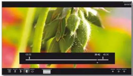 LOEWE Reference LD 46 - Springen - 2