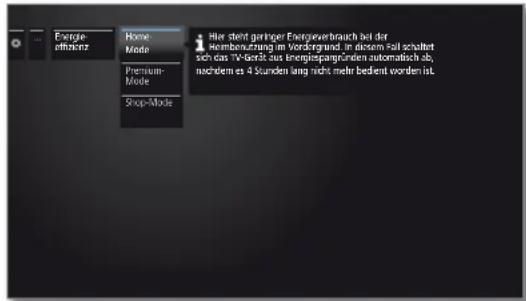 LOEWE Reference LD 40 - Energieeffizienz aufrufen - 3