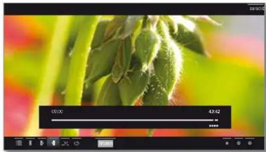 LOEWE Reference LD 40 - Spulen - 5