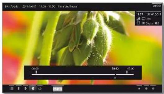 LOEWE Reference LD 40 - Generelles zur Video-Wiedergabe - 1