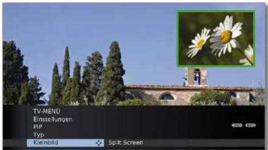 LOEWE Individual 55 Compose LED 400 - PIP-Typ umstellen (Kleinbild / Split Screen) - 1