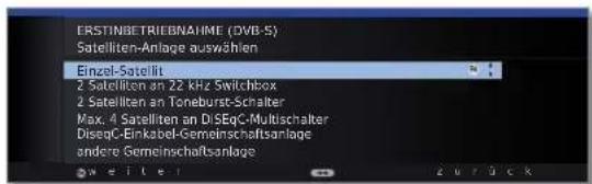LOEWE Individual 55 Compose LED 400 - Einstellmöglichkeiten für den DVB-S-Empfang: - 1