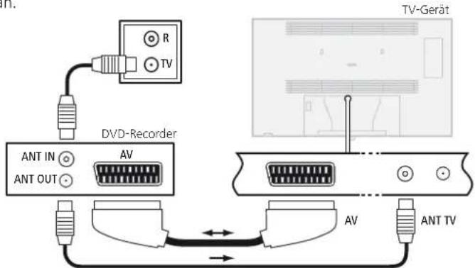 LOEWE Individual 55 Compose LED 400 - DVD-Recorder an das TV-Gerät anschließen - 1