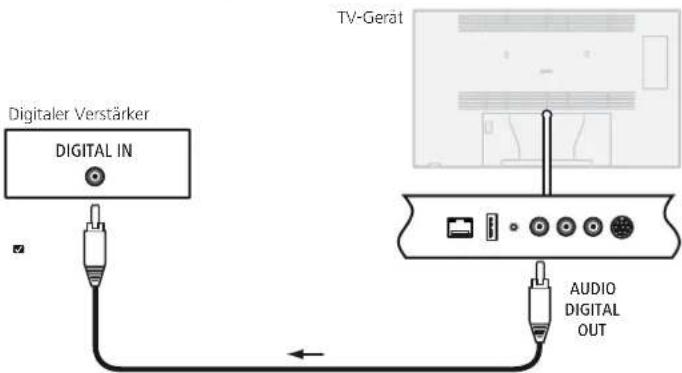 LOEWE Individual 55 Compose LED 400 - Digitale Audio-Verstärker anschließen - 1