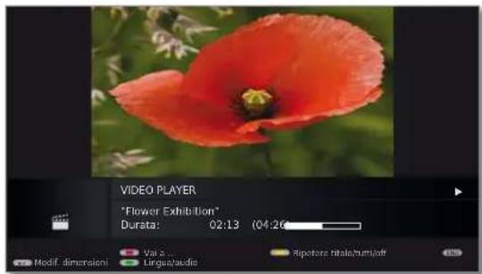LOEWE Individual 55 Compose LED 400 - Video-Statusleiste - 2