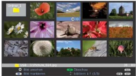 LOEWE Individual 46 selection Full HD 100 - Bilder ansehen - 1