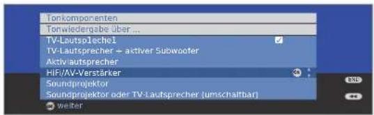 LOEWE Individual 46 selection Full HD 100 - Audio-Verstärker anschließen - 3