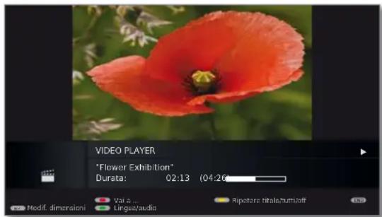LOEWE Individual 46 Compose LED 400 - Video-Statusleiste - 2