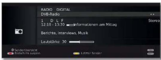 LOEWE Individual 46 Selection LED 200 - Radio-Betrieb einschalten - 5
