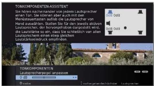 LOEWE Individual 46 Selection LED 200 - OK weiter zu Lautsprecherpegel anpassen. - 1