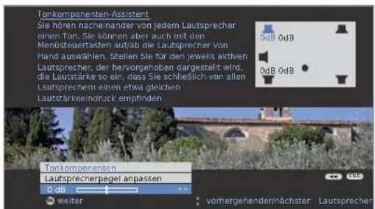 LOEWE Individual 46 Compose 100 - OK weiter zu Lautsprecherpegel anpassen. - 1