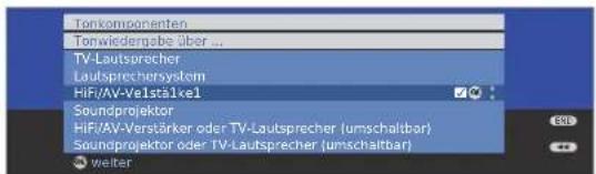 LOEWE Individual 46 Compose 100 - Audio-Verstärker anschließen - 3