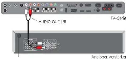 LOEWE Individual 46 Compose 100 - Analoge Audio-Verstärker anschließen - 1