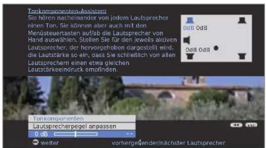 LOEWE Individual 40 Compose Full HD 100 - OK weiter zu Lautsprecherpegel anpassen. - 1
