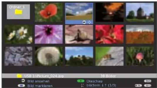 LOEWE Individual 40 Compose Full HD 100 - Bilder ansehen - 1