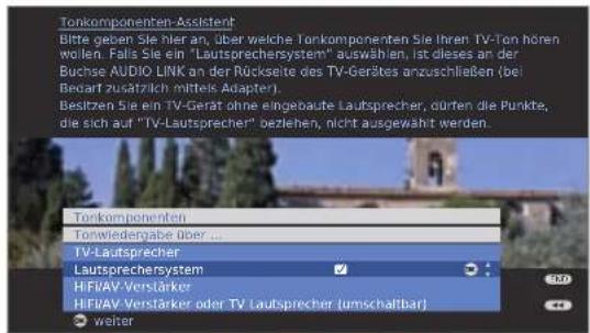 LOEWE Individual 40 Compose Full HD 100 - Tonkomponenten-Assistenten aufrufen - 3