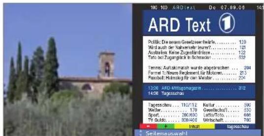 LOEWE Individual 40 Compose Full HD 100 - Darstellungen der Teletext-Seiten - 3