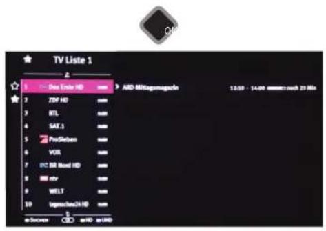 METZ Primus - TV Senderlisten - 1