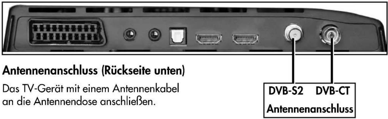 METZ Linea LED 100 - Netzanschluss (an der Rückseite des TV-Gerätes) - 2