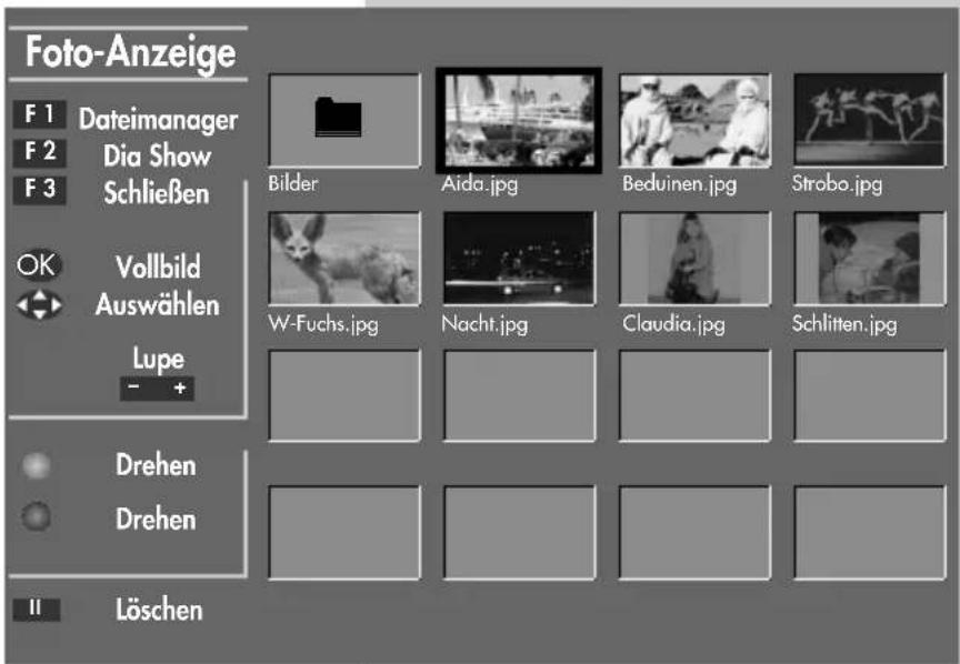 METZ Linea FHDTV 100 - Foto-Anzeige aufrufen - 2