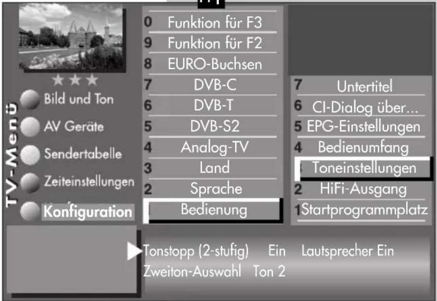 METZ Linea FHDTV 100 - Menü aufrufen - 5