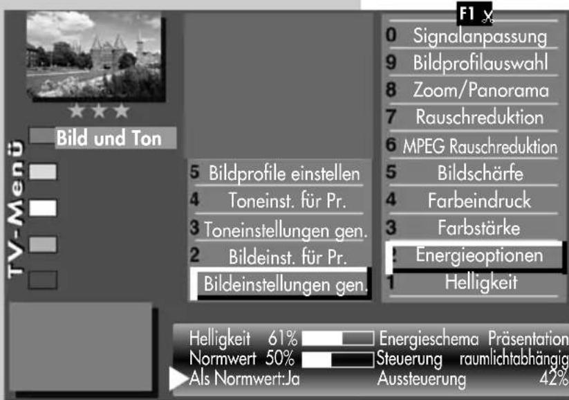 METZ Caleo - Bildeinstellungen generell Energieschema auswählen - 1