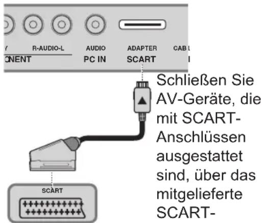 HANNSPREE SE-Series - SCART - 1