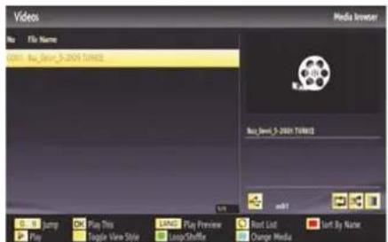 Finlux 47FLSKR170LHCD - Step 3: Play Shared Files via Media Browser - 3