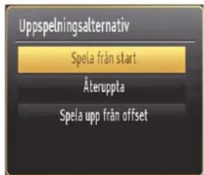 Finlux 47FLSKR170LHCD - Titta på inspelade program - 1