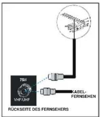 Finlux 32FL745 - Anschlüsse an die Antenneneingangsbuchse - 1