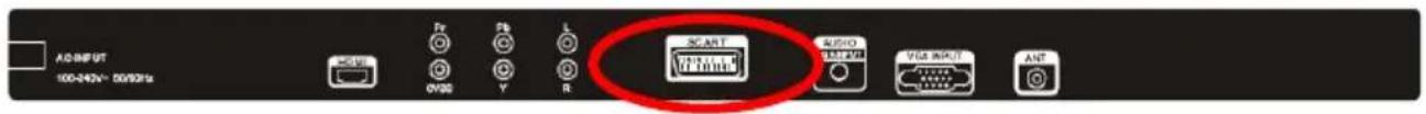 Dyon ALPHA 24 - Anschluss an externe AV Signalquelle (SCART) - 1