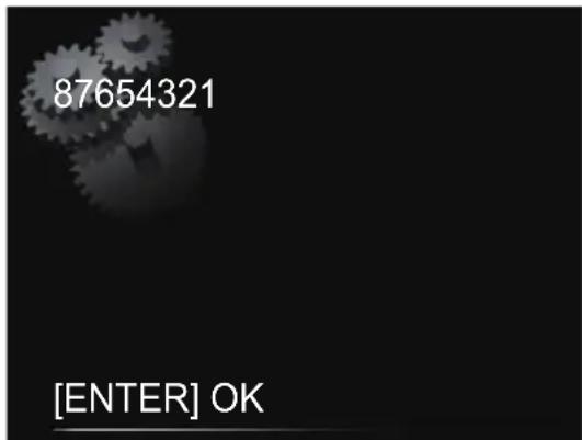 PIONEER X-SMC5 - Controllare che il codice PIN di questa unità sia corretto e premere ENTER. - 1