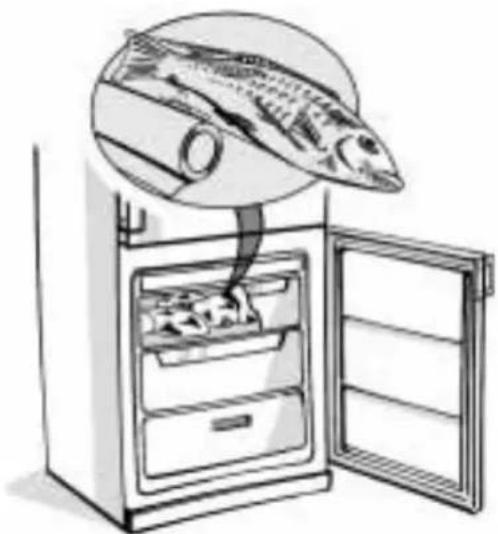 SMEG CR 325 A7 - Funktion Températuralarm - 1
