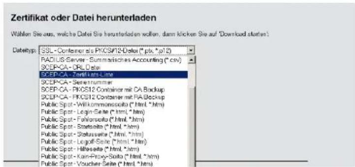 LANCOM 1781VA - Sichern und Wiederherstellen weiterer Dateien der SCEP-CA - 1