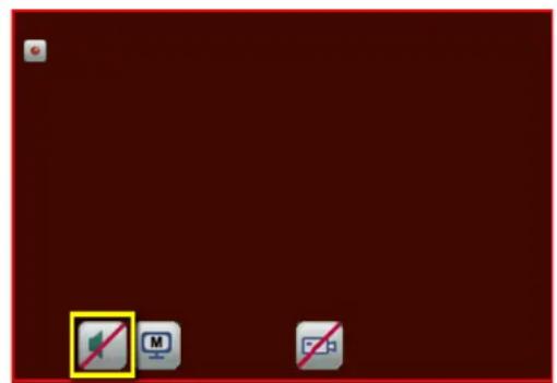 EverFocus ELUX4 - How to Select a Channel / Enable Audio - 2