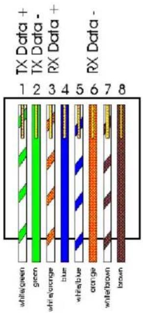 B&B Electronics VESR921 - STANDARD ETHERNET CABLE RJ-45 PIN-OUT - 1