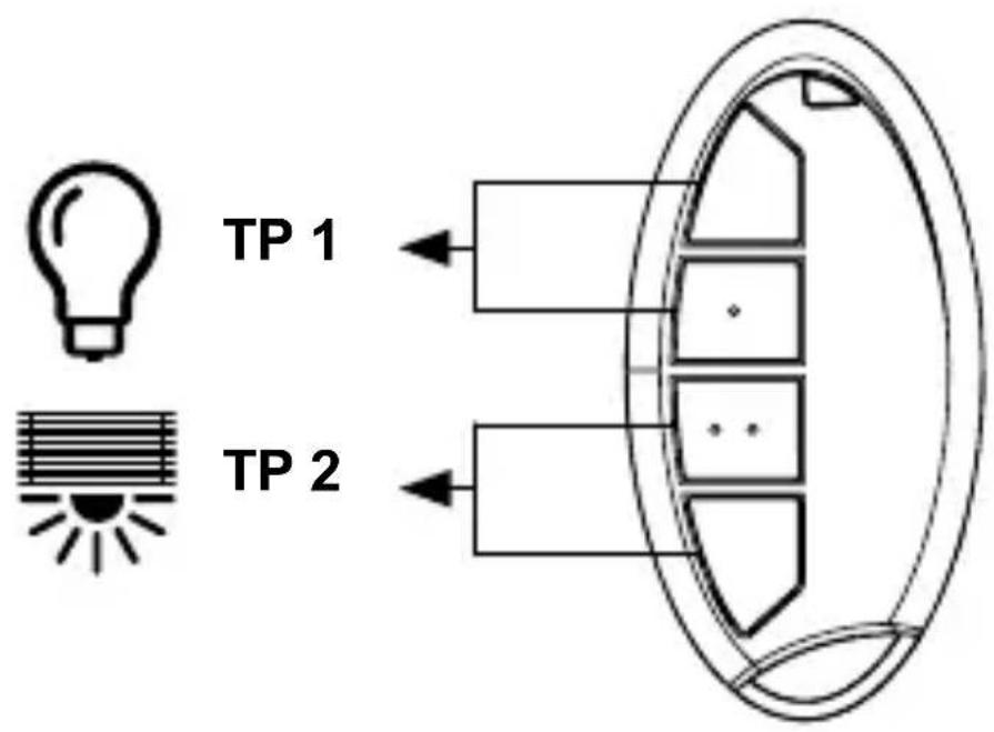 TP 1 TP 2