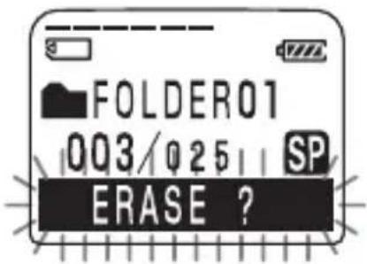FOLDER01 003/025 SP ERASE ?