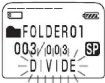 FOLDER01 003/003/SP DIVIDE