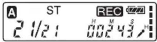 A ST 2 1/2: REC H M S H 00243