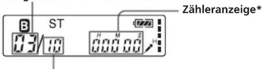 B ST Zähleranzeige* 03/10 H M S H