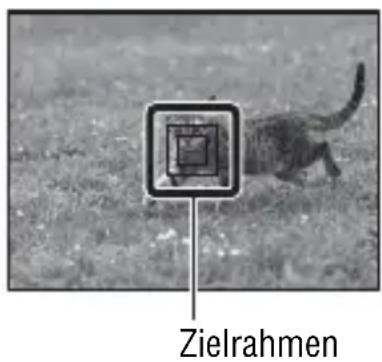 Zielrahmen