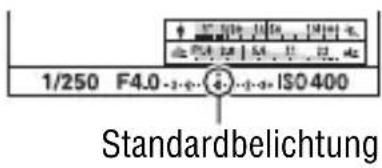 1/250 F4.0-3-4-4-4-4 ISO 400 Standardbelichtung